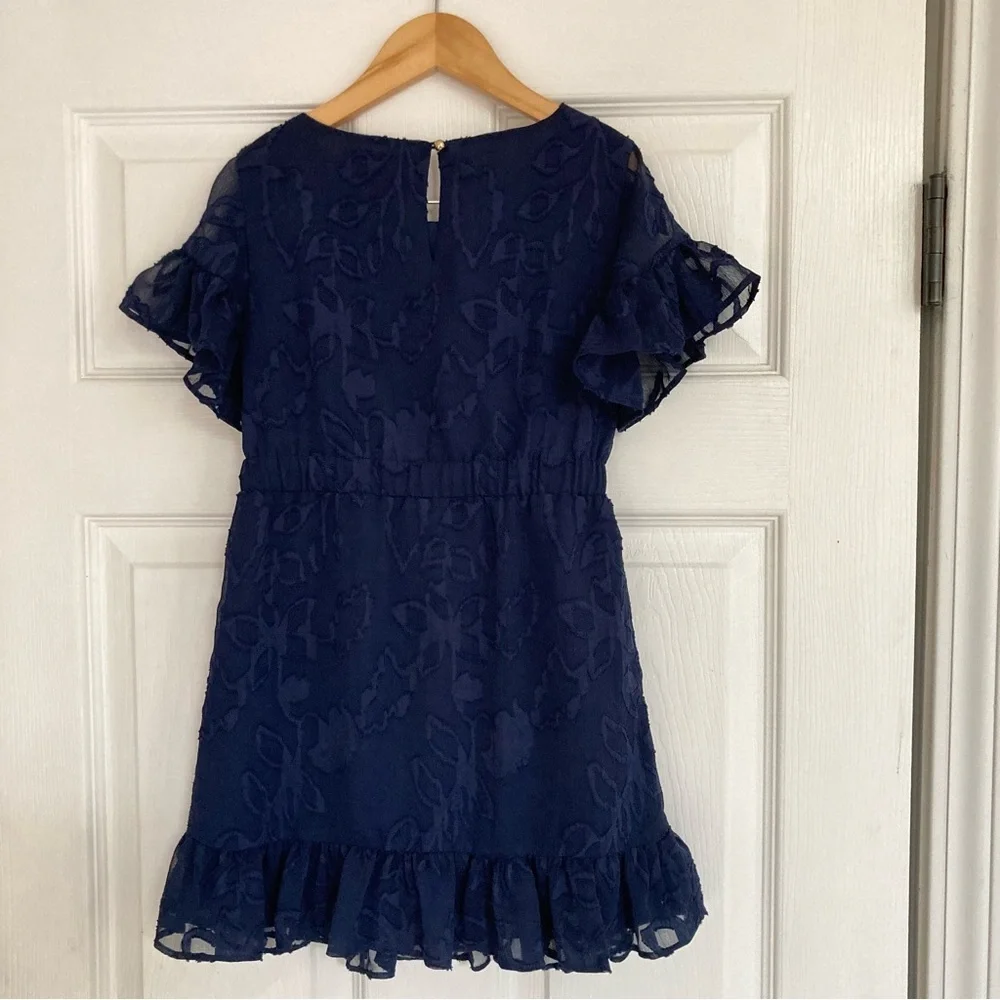 Lilly Pulitzer Mini Darlah Botanical Clip True Navy Chiffon Dress, Girl's Size 7